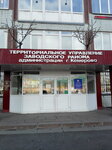Территориальный отдел образования Заводского района отдел опеки и попечительства Администрации города Кемерово (Karbolitovskaya ulitsa, 7) ، إدارة حكومية