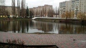 Утиное озеро (gorodskoy okrug Voronezh, Zheleznodorozhniy District, Lebedinoye ozero), lake