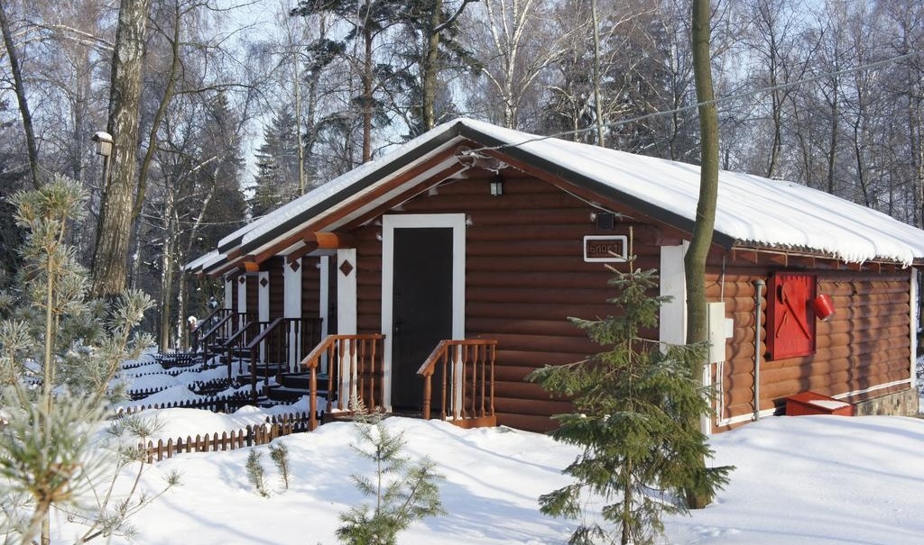 Фото Берёзовая роща