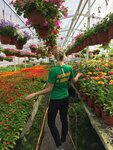Pitomnik rastenij (деревня Зайцево, территория Квартал А, 2), plant nursery