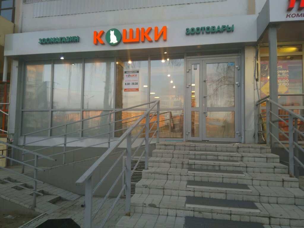 Кошачий Магазин Рядом Со Мной