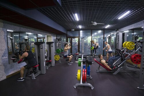 Писка инесі