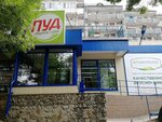 Pud (Суворовская улица, 17А), grocery
