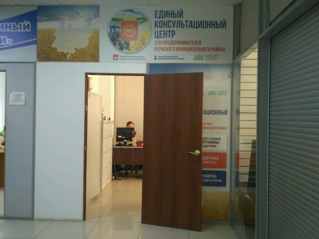 Business consulting Yediny konsultatsionny tsentr dlya predprinimateley Permskogo munitsipalnogo rayona, Perm, photo
