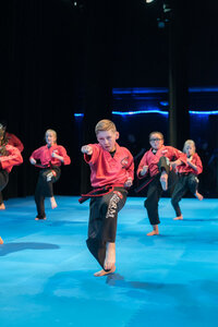 Sports and entertainment center Storm Mixed Martial Arts, Springfield, photo