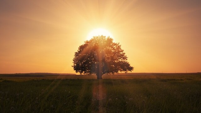 Alternative medicine Dr Moira McGuigan, Glasgow, photo