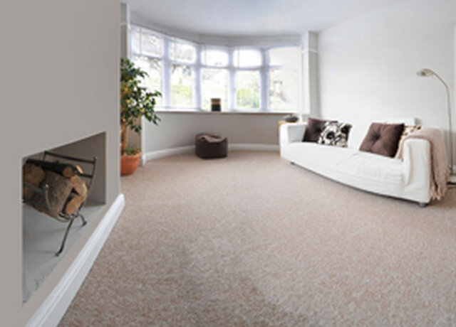 Carpet shop Exminster Carpets, Plymouth, photo