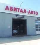 Фото 3 Авитал Авто