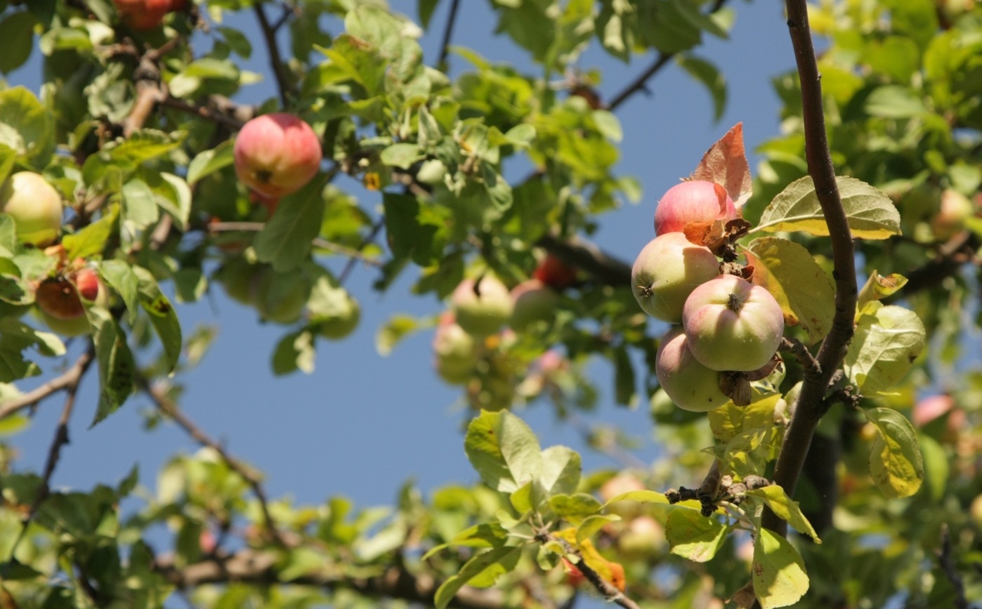 Фото Барминский остров