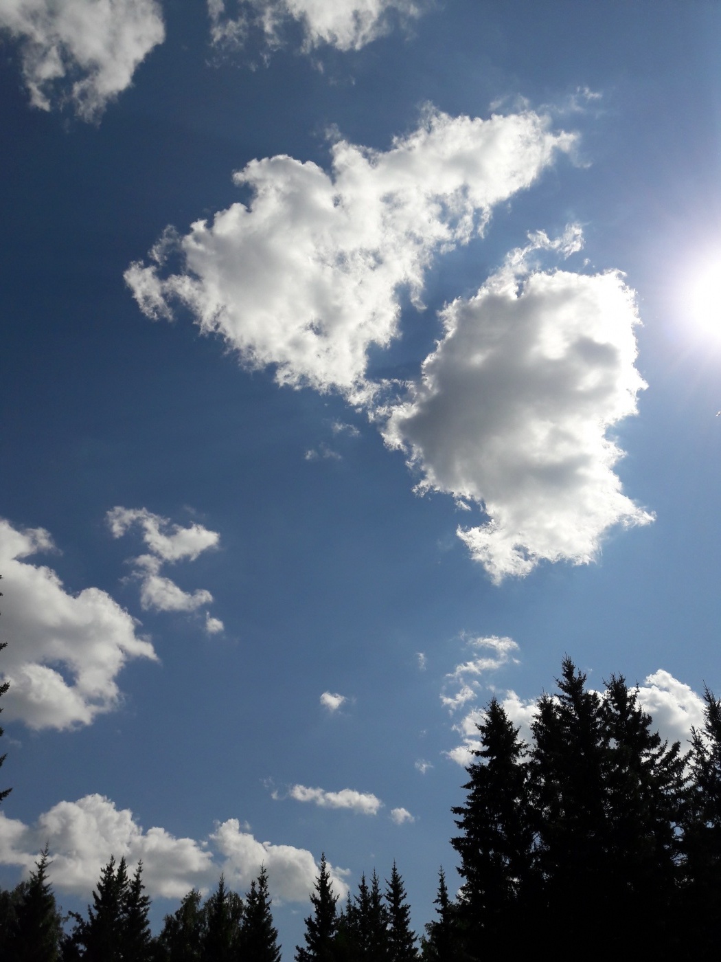 Фото Раухова мельница