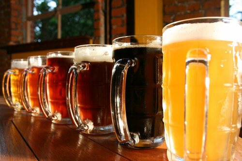 Bar, pub Razgul, Vologda Oblast, photo