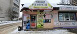 Магазин овощей и фруктов (ulitsa Shubinykh, 14В), greengrocery
