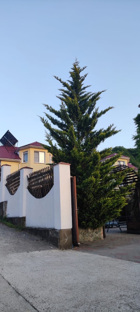 Фото Селена