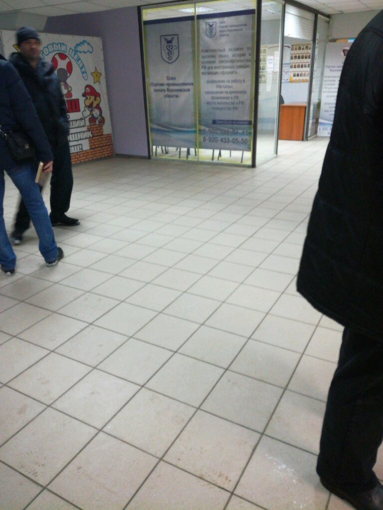 Migration services Торгового-промышленная палата Воронежской области, Voronezh, photo