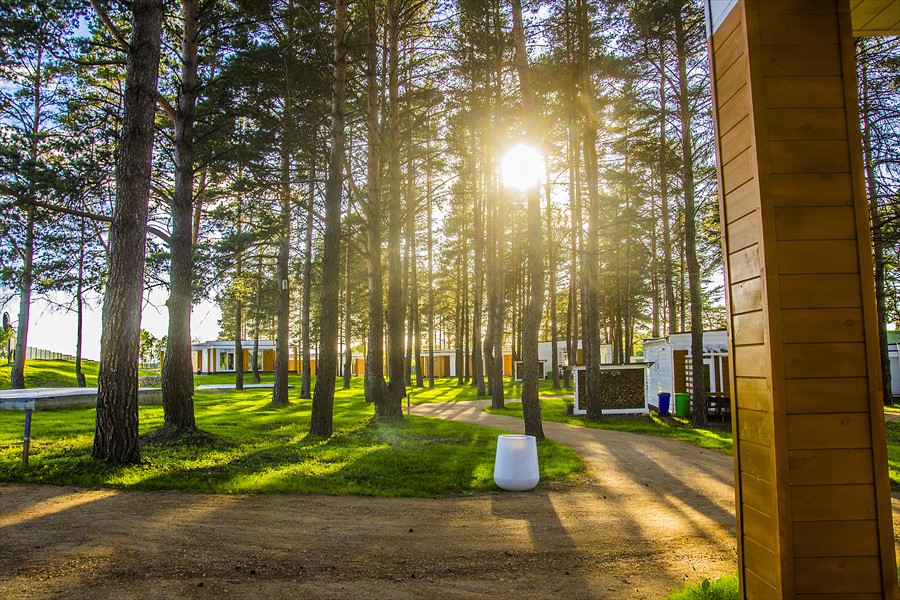 Фото Green Gold Park