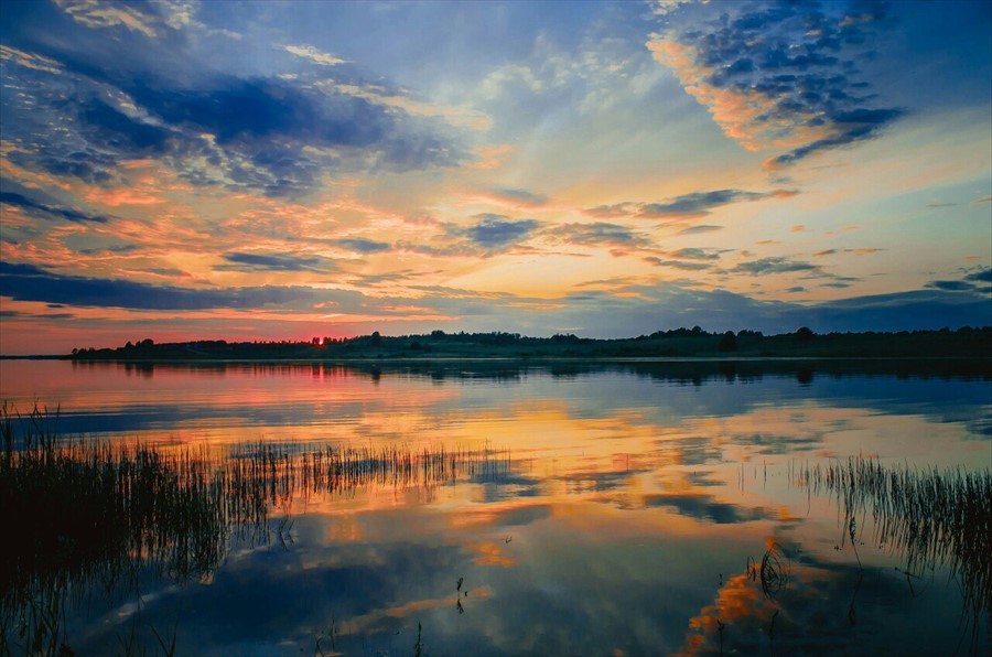 Фото Green Gold Park