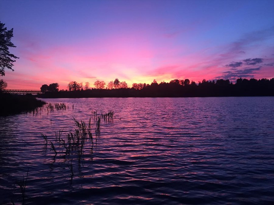 Фото Green Gold Park