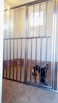 Zoogostinitsa Levashovo (Leningradskoye shosse, 2), hotel para animales
