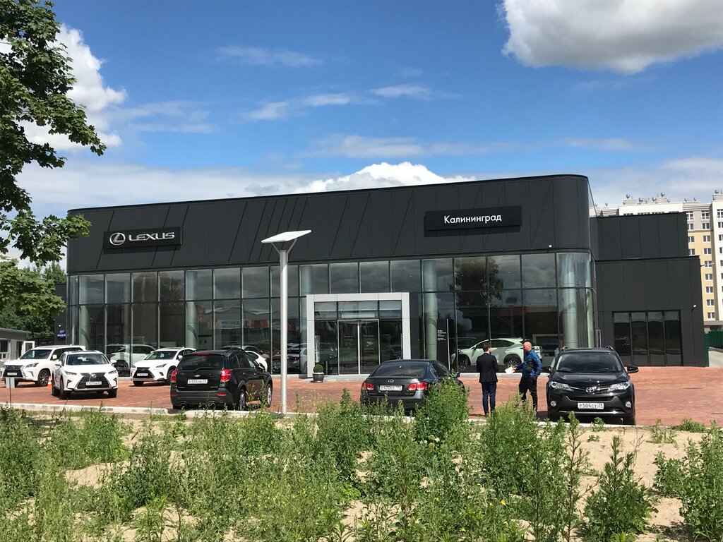 Открытие первого дилерского центра Lexus в Калининграде - Новости Калининграда