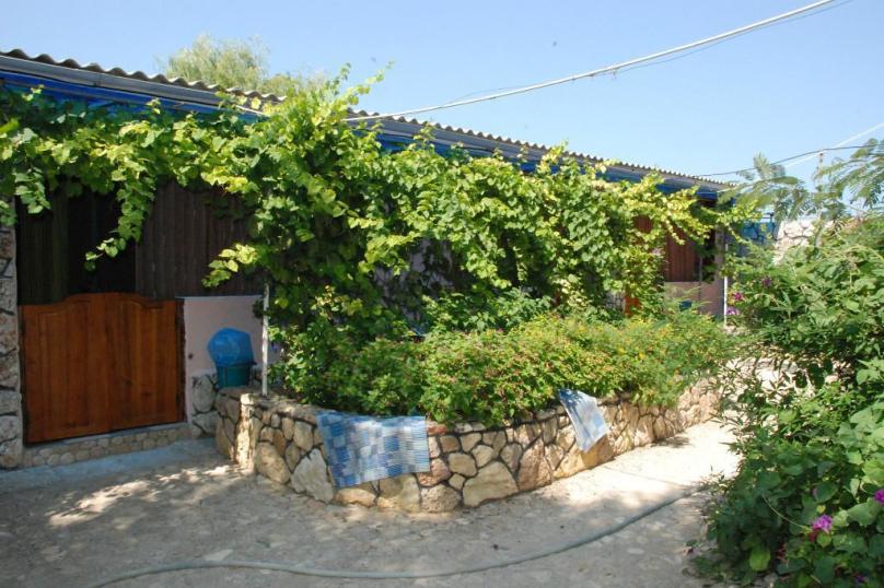 Фото Крабовая бухта