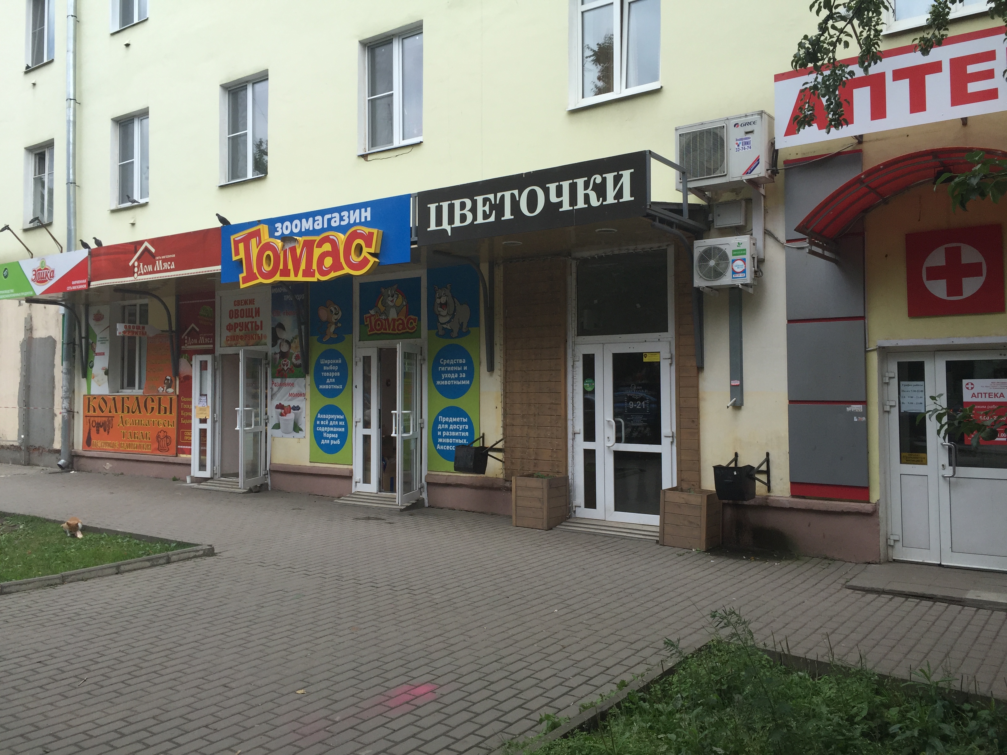 Пятерочка ул полины осипенко 14 43 фото