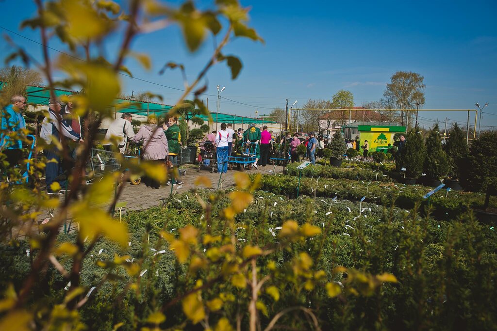 Garden center Alleya, Nizhny Novgorod Oblast', photo