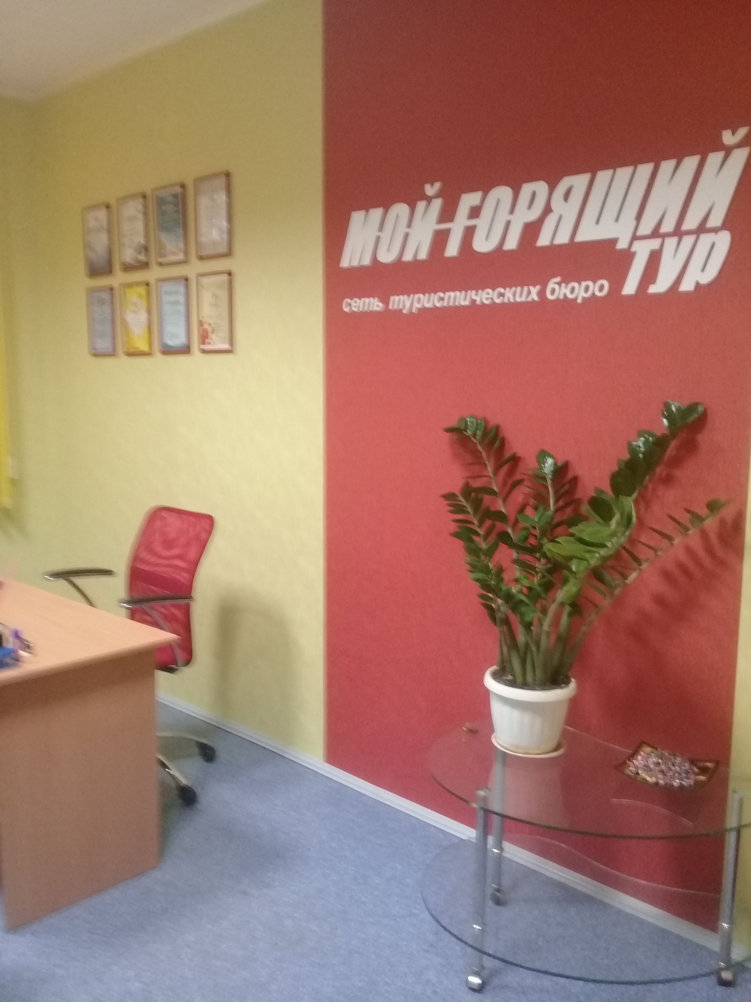 Мой горящий тур, турагентство, площадь Карла Маркса, 3, Новосибирск, Россия - Ян