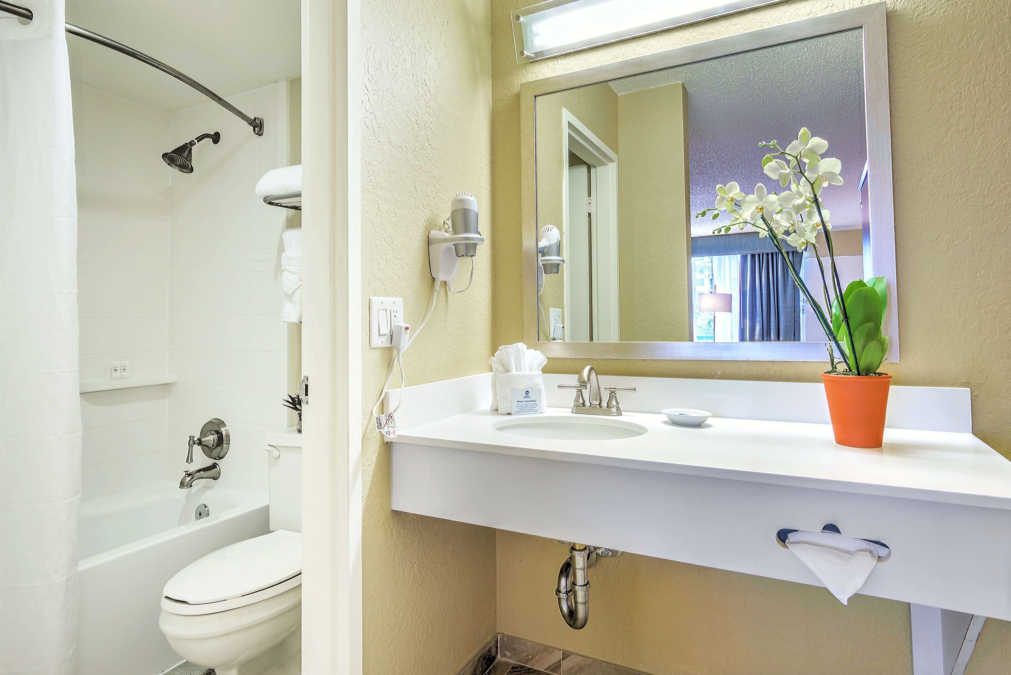 Фото Palm Tree Club Miami Hotel