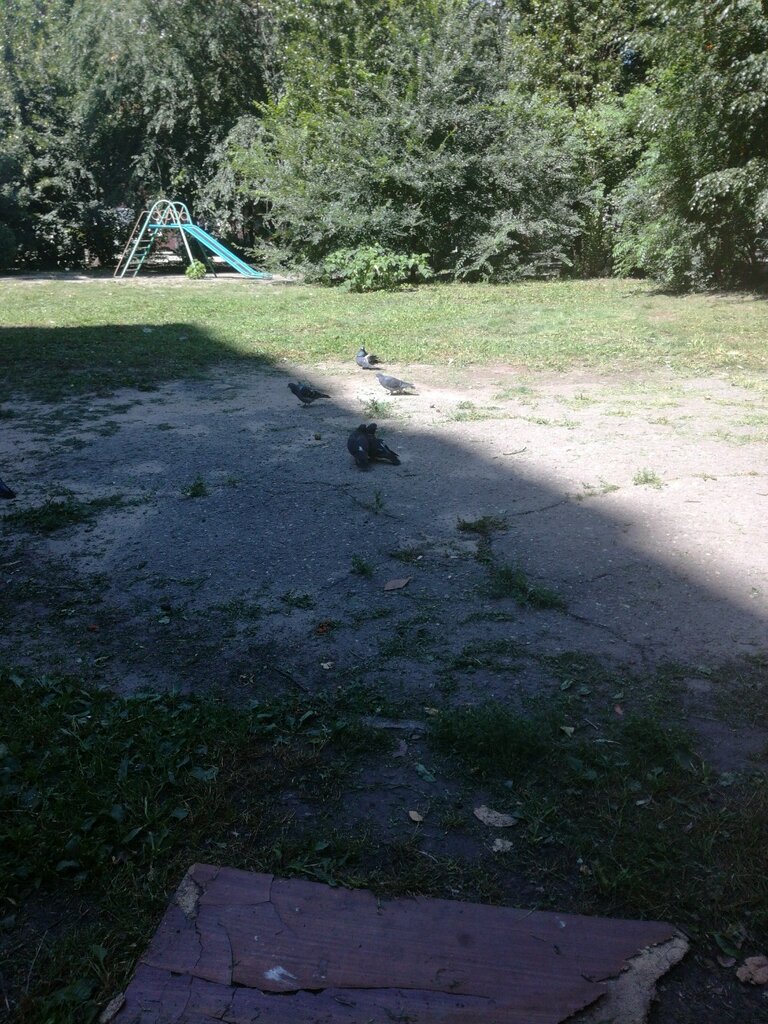 Playground Playground, Voronezh, photo