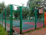 Спортивная площадка (Novie Lyady Village, ulitsa Ostrovskogo, 87), sports ground