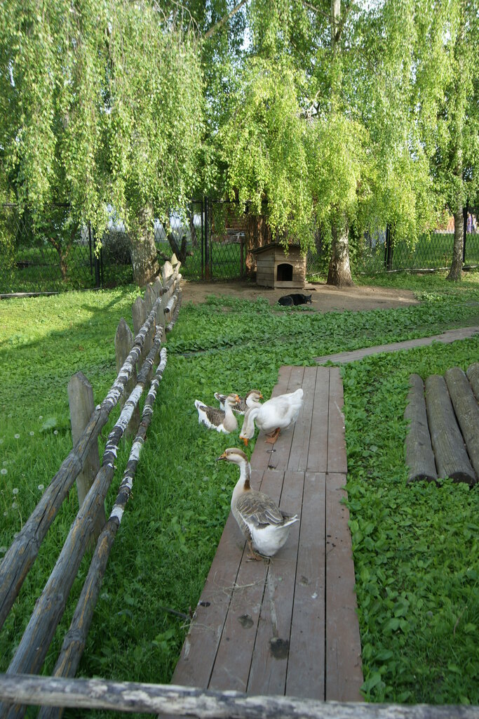Музей Изба из деревни Каменево, Суздаль, фото