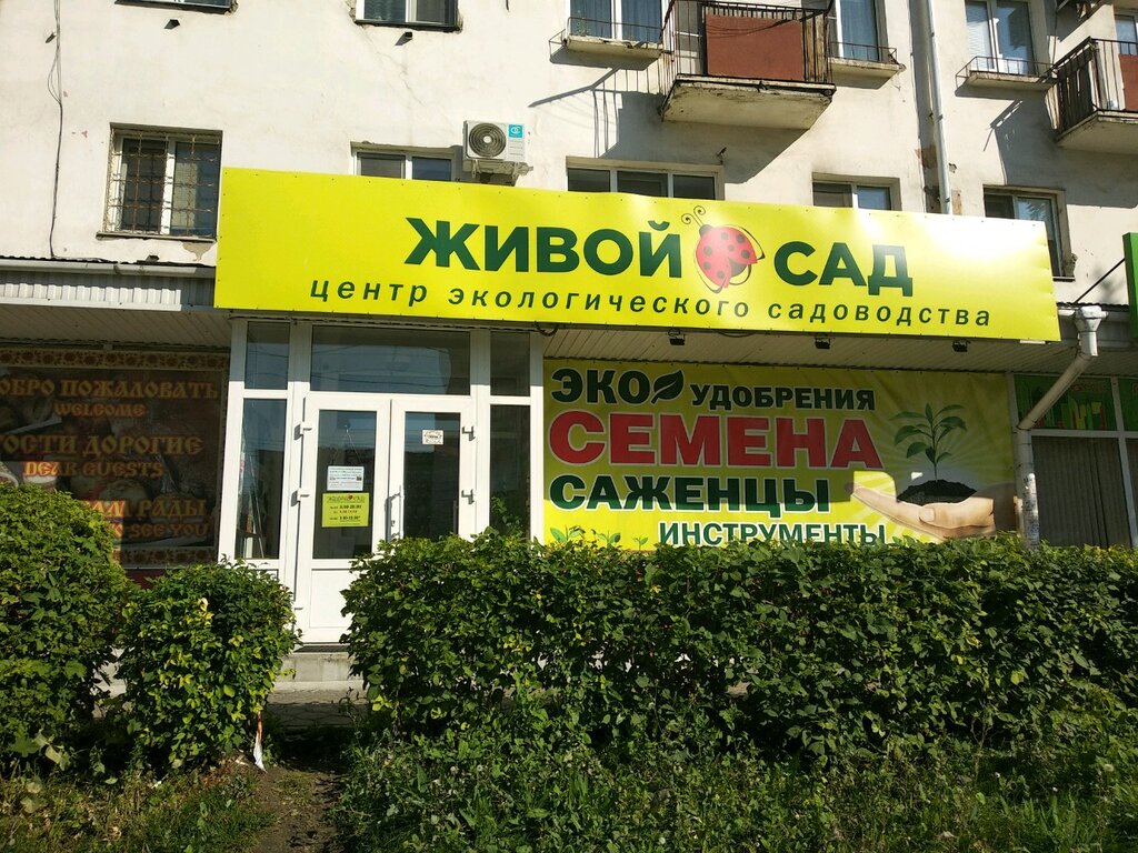 Омск Магазин Саженцы