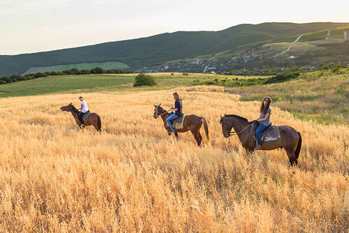 Конный клуб Конные прогулки в предгорьях Кавказа, Краснодарский край, фото