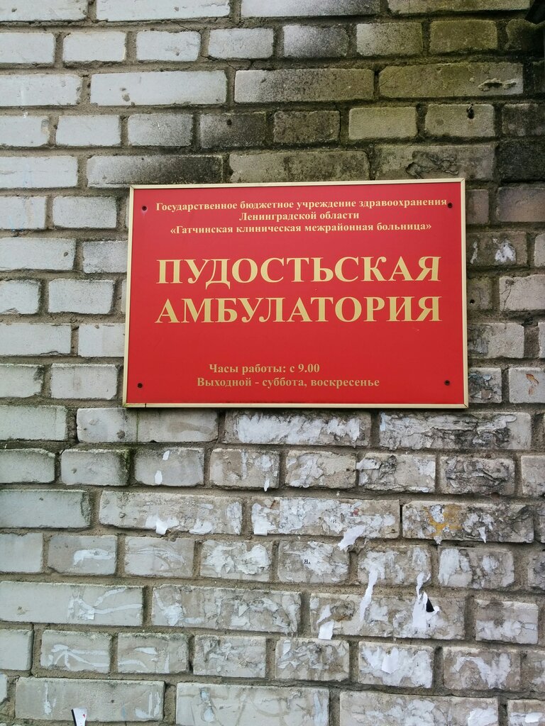 Ambulatory care centre, first aid post Gatchinskaya tsentralnaya gorodskaya bolnitsa Pudosovskaya Ambulatoriya, Saint‑Petersburg and Leningrad Oblast, photo