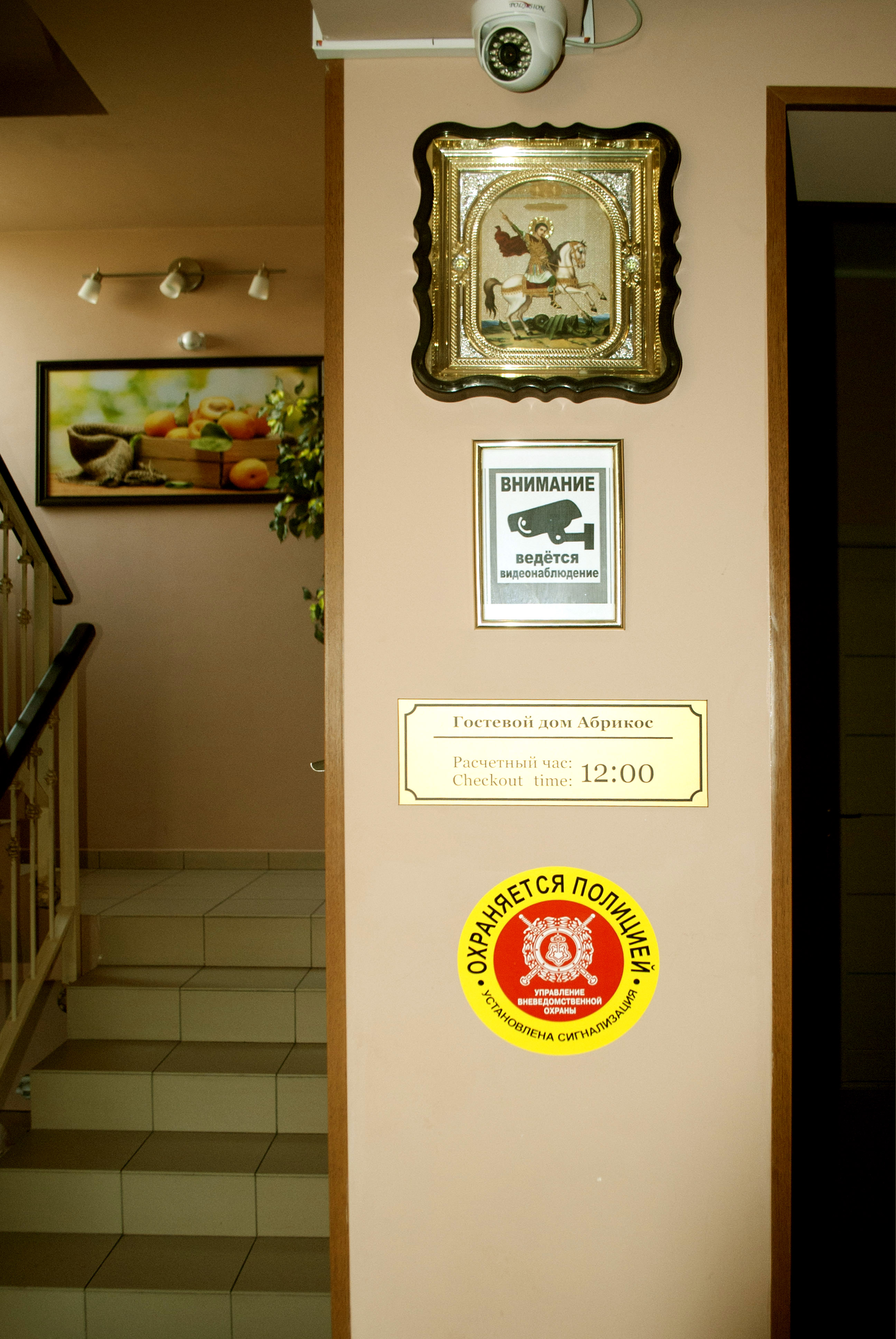 Фото Абрикос