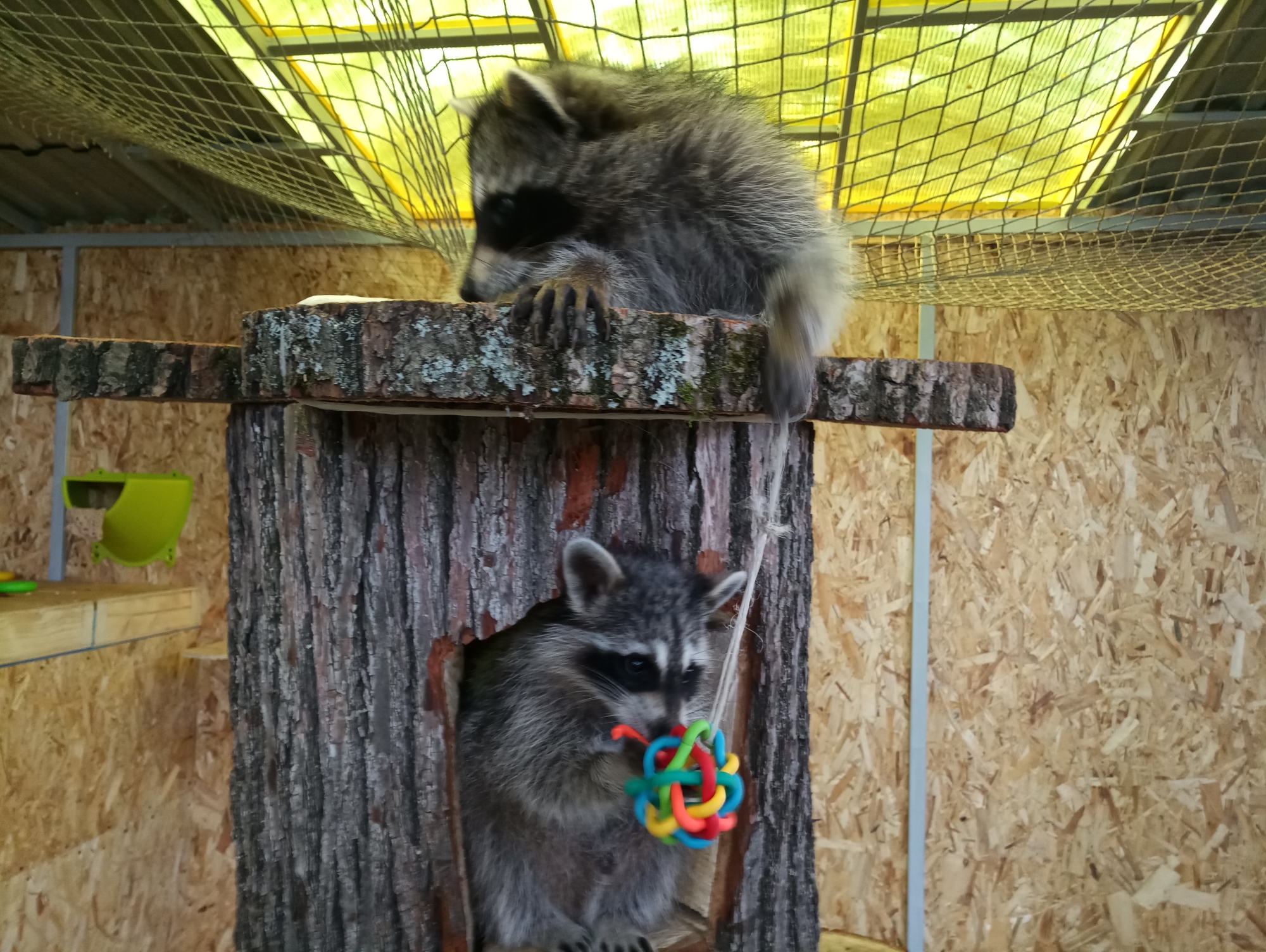 Фото Волшебная страна