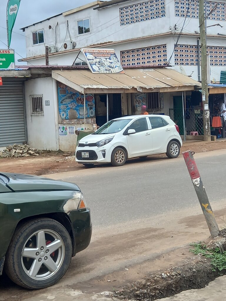 Butcher shop Freshland Cold store, Accra, photo