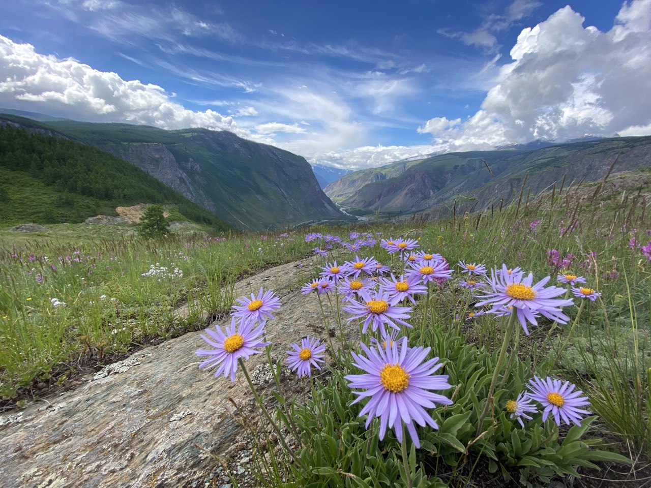 Фото Выше гор