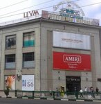 Muhomor (Rudaki Avenue, 83), mushroom growers and suppliers