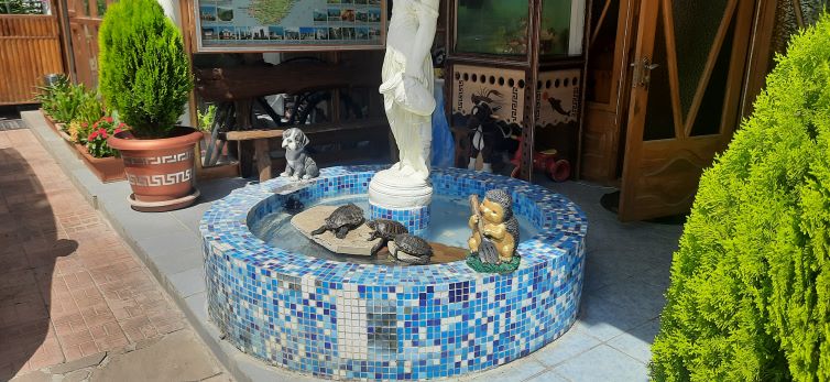 Фото Медный всадник