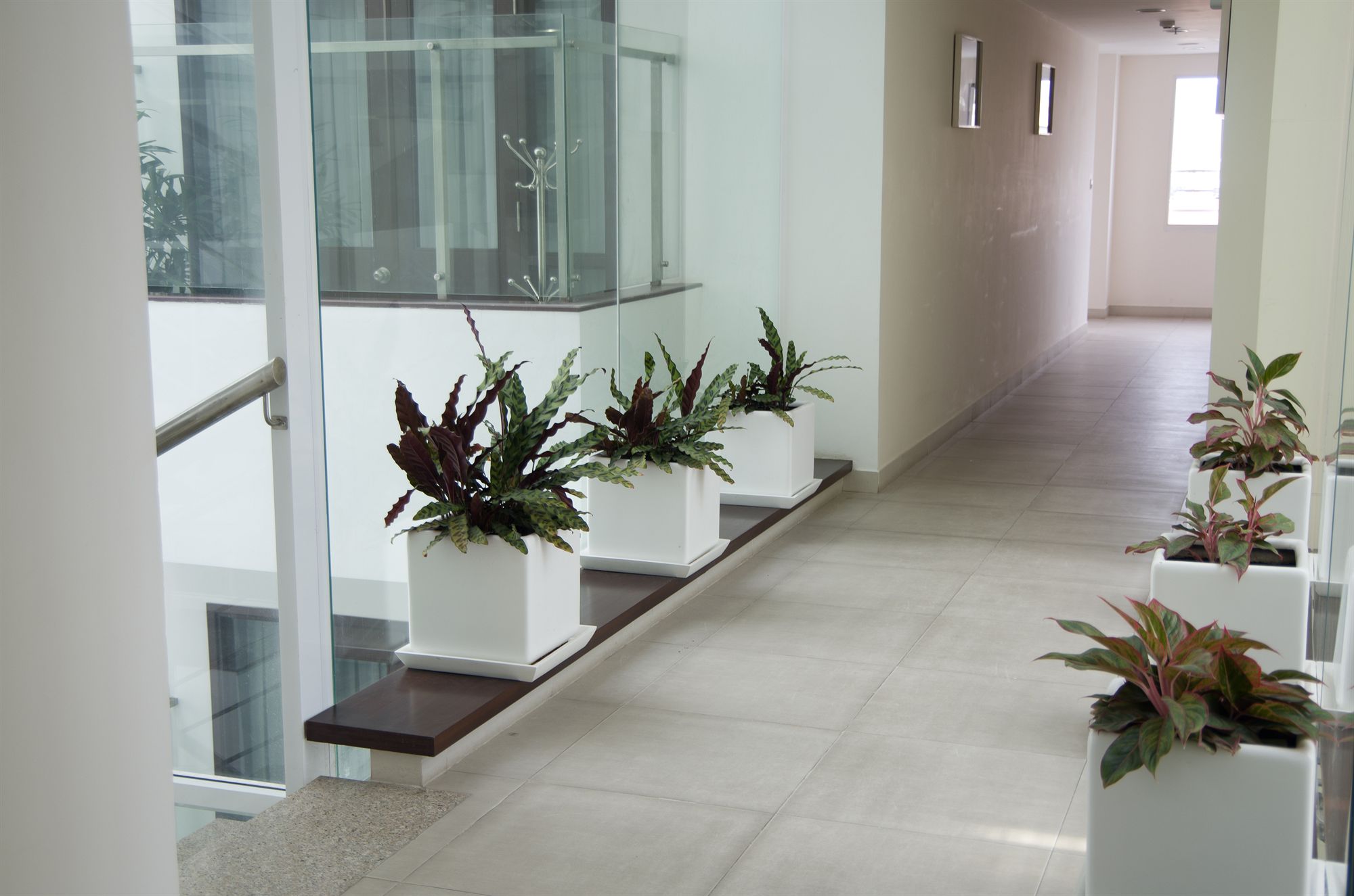 Фото Nhi Phi Hotel