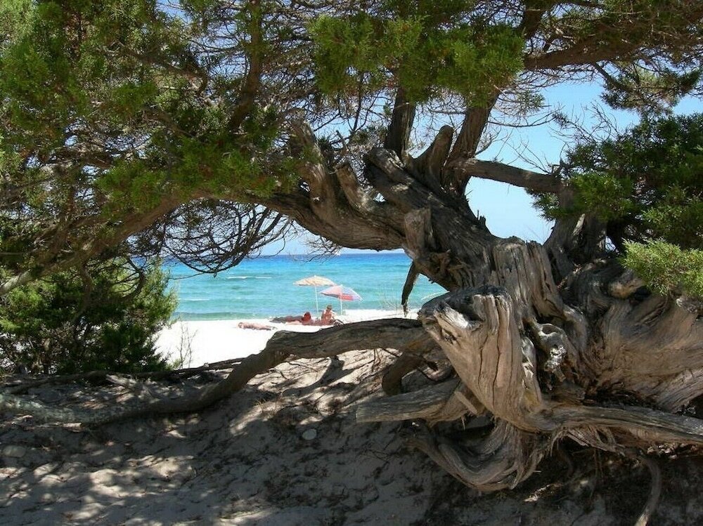 Фото Residence BouganVillage