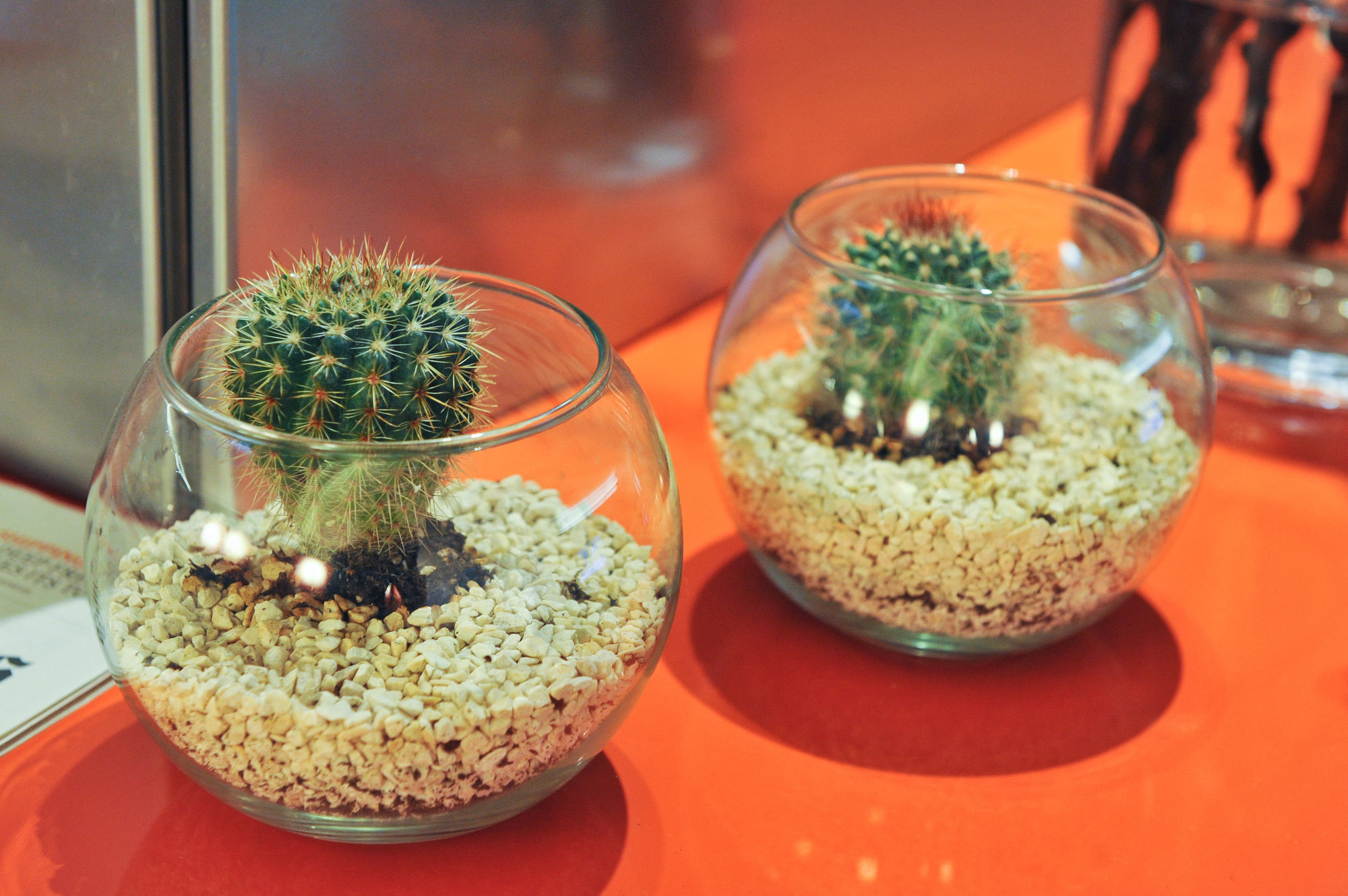 Фото Design Hotel F6