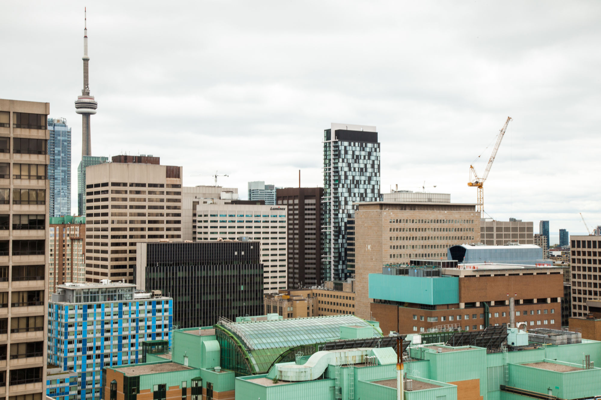 Фото Canada Suites - 832 Bay St