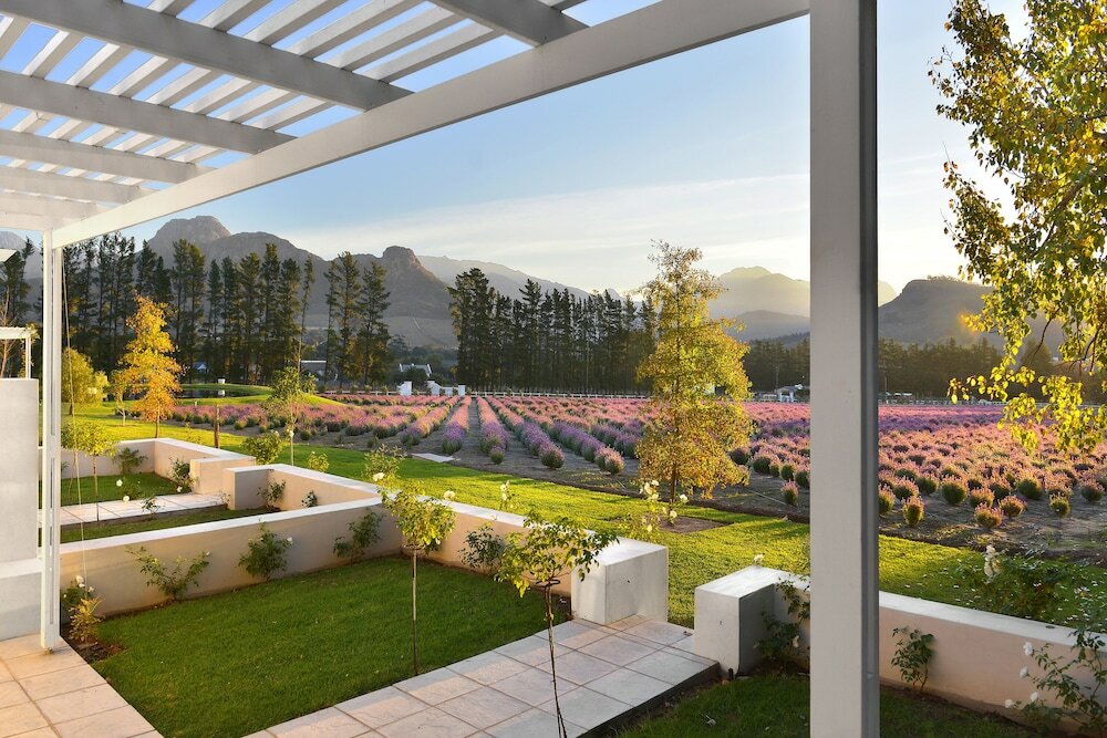 Фото Lavender Farm Guest House