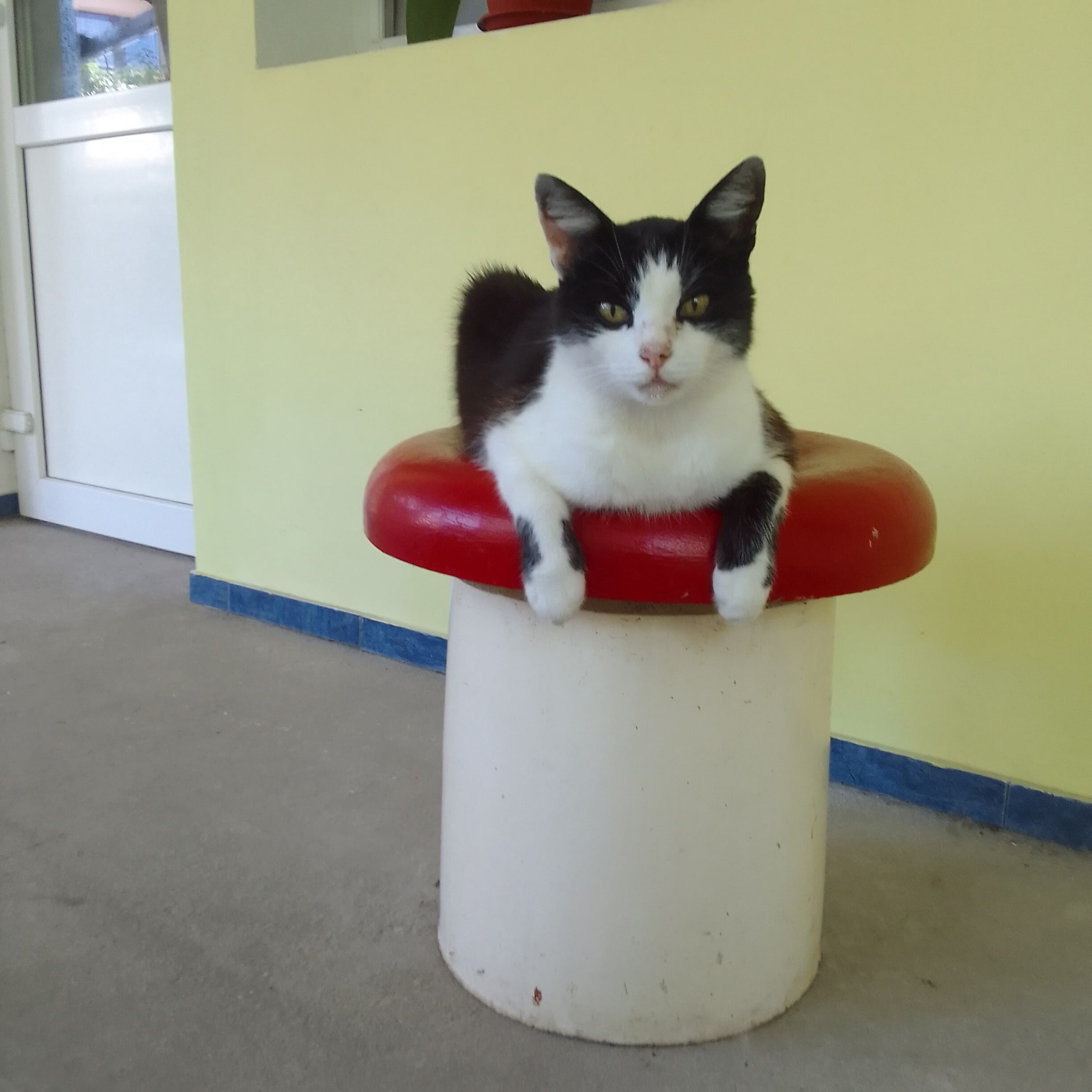 Фото Рахоль