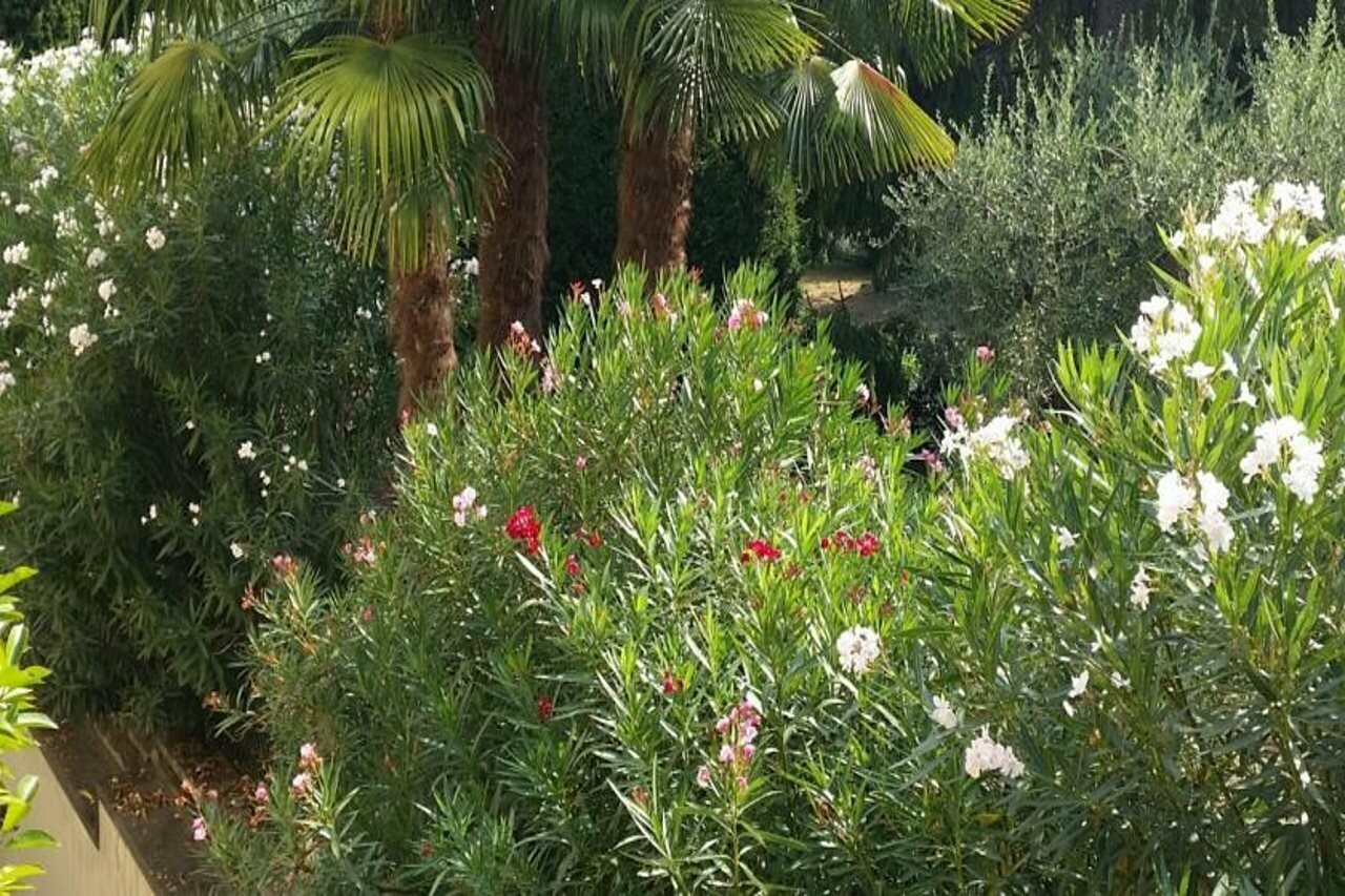 Фото Admiral Hotel Villa Erme