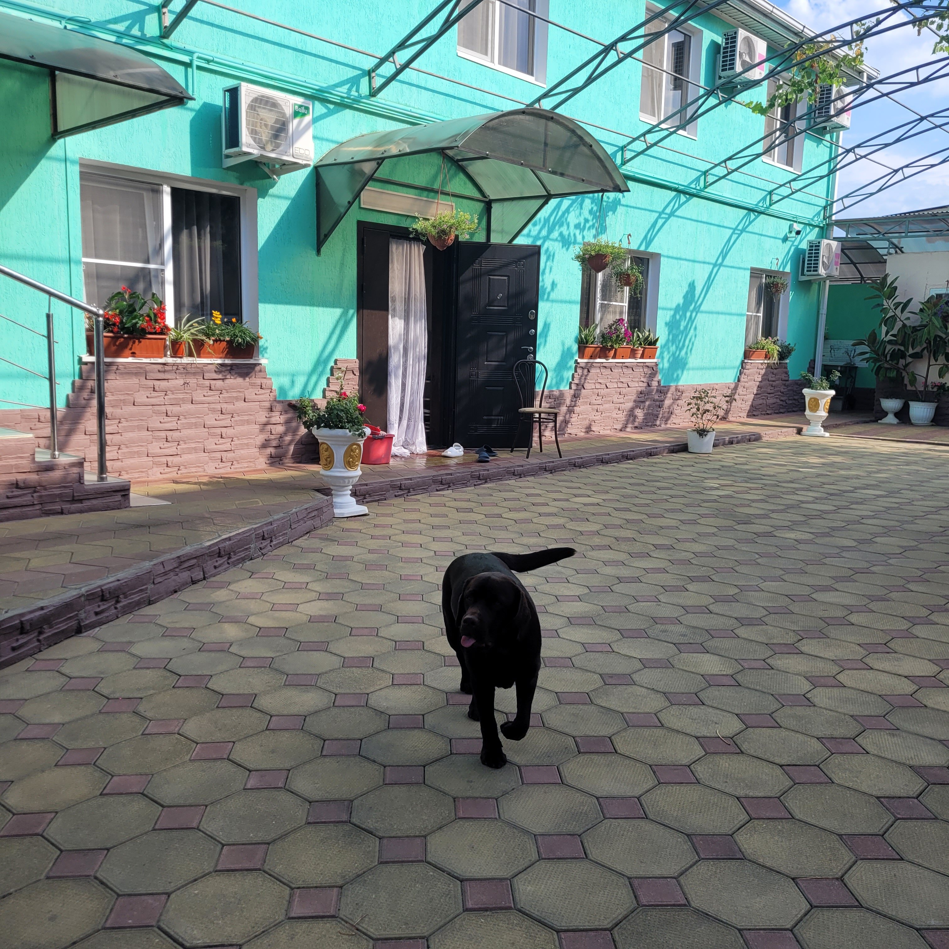 Фото отеля 3