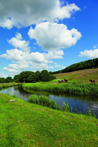 Внешний вид отеля Haraldskær Sinatur Hotel & Konference в Скибете, фото 4