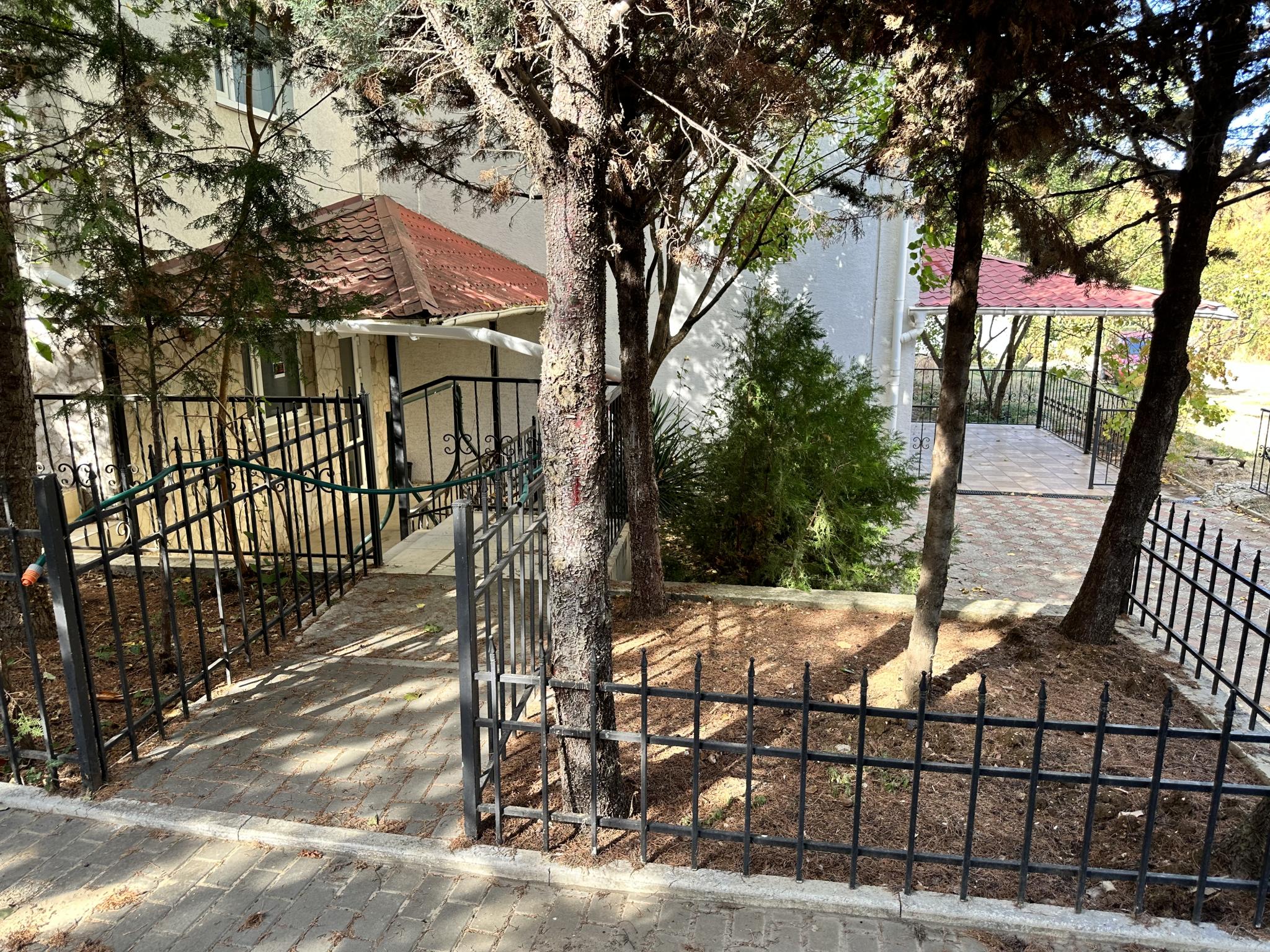 Фото Лев, корпус Катрин